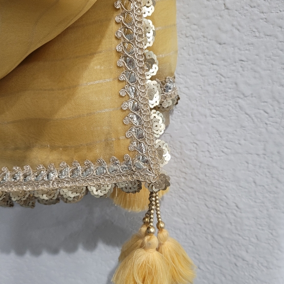 Pure Organza Silk gotta parti sari/ saree with tassels + blouse - Picture 3 of 8